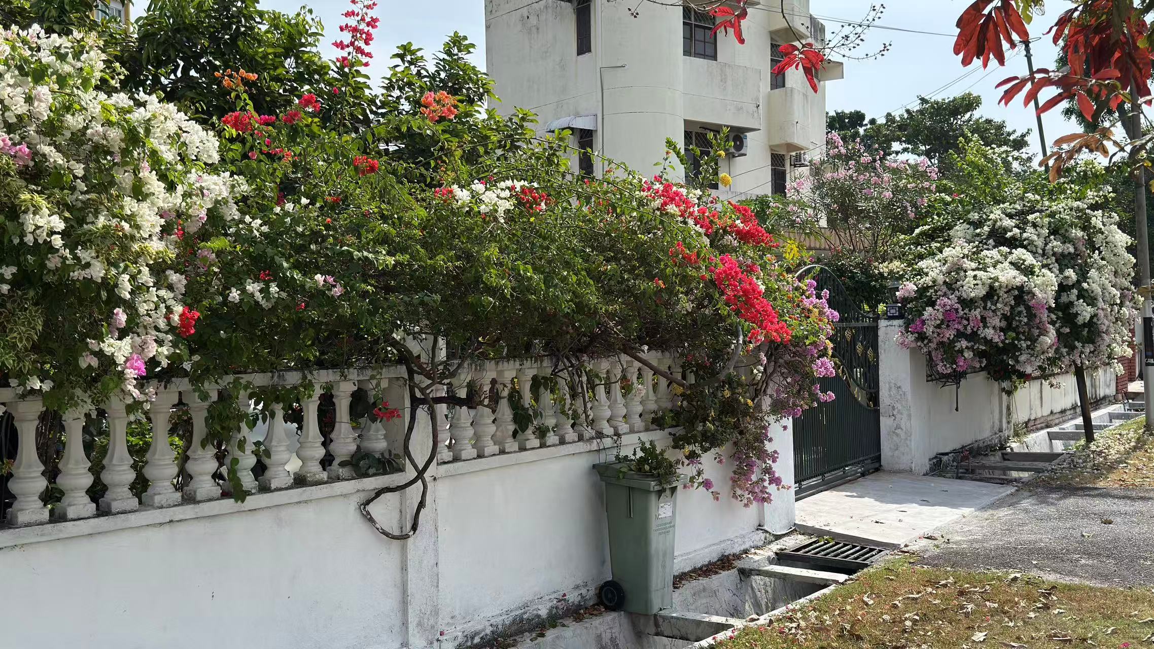 马来西亚数字游民考察