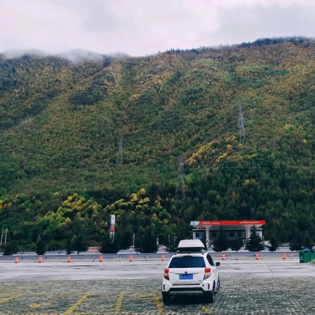 他是罗欣,弃医转码、喜欢独行、谈过26次恋爱的人间清醒